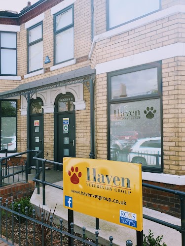 profile picture of Haven Veterinary Group, Hull profile picture