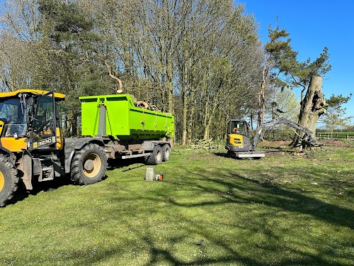 profile picture of Yorkshire Tree Surgery