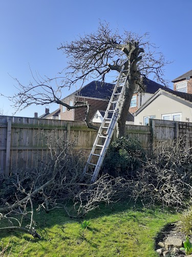 profile picture of Hull&District Tree Care