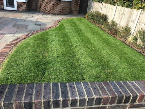 profile picture of Everlush Lawn Care Ltd profile picture