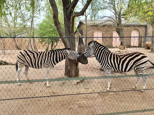 London Zoo