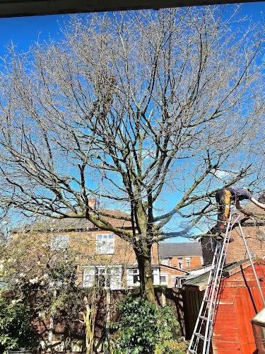 profile picture of Alderwood Tree Care Ltd profile picture