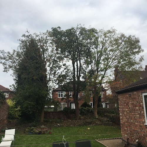 profile picture of Alderwood Tree Care Ltd