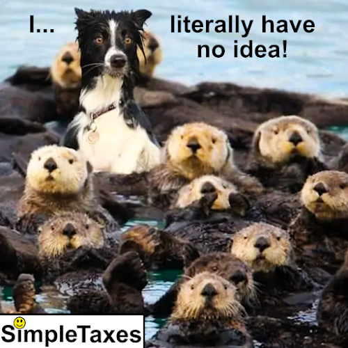 profile picture of Simple Taxes