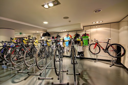 profile picture of The Pinarello Store