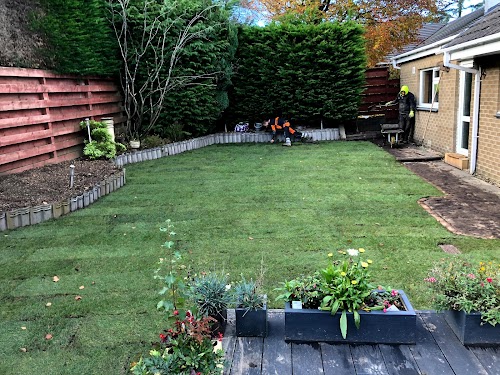 profile picture of Newlands Tree Surgeons