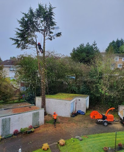 profile picture of Aspen Tree Surgeons Glasgow