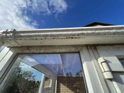 profile picture of Window and Gutter Cleaning Glasgow