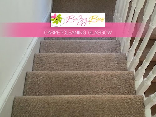 BuZy Bees Cleaning Services