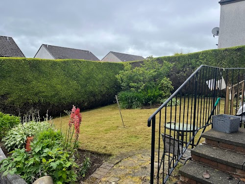 profile picture of Thistle Garden Maintenance