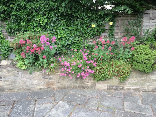 profile picture of Bloom Gardening