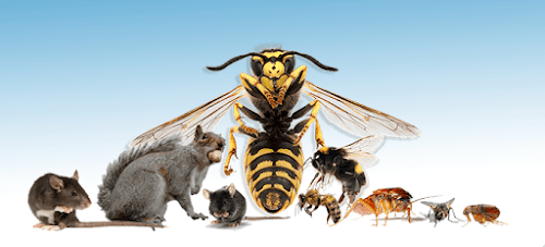 profile picture of Wasptec