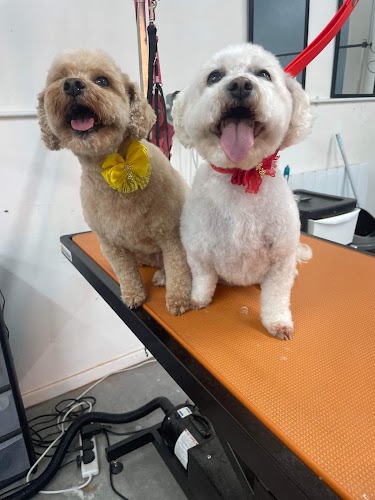 profile picture of Mrs B's Dog Grooming and Luxury Daycare