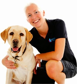 profile picture of Co-Evolve Dog Training and Behaviour Consultancy profile picture