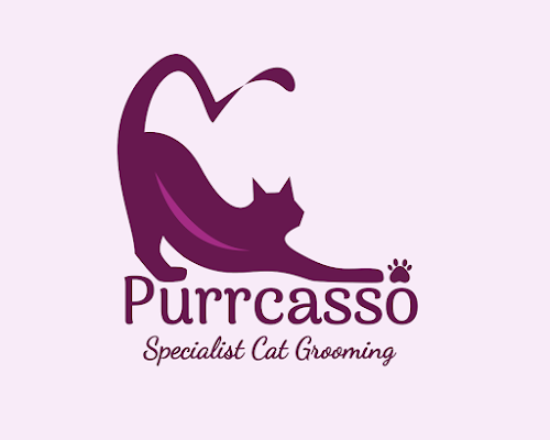 Purrcasso Cat Grooming