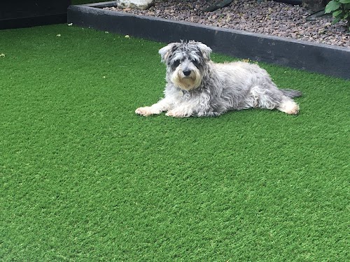 profile picture of MC Landscapes - Artificial Grass