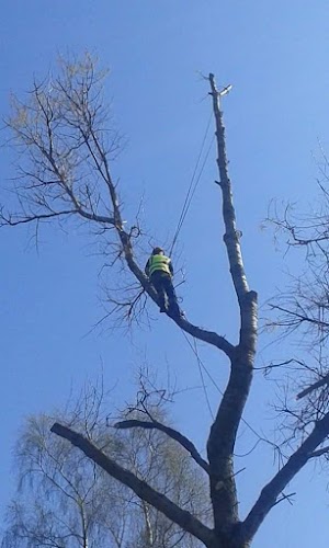 profile picture of Broadleaf Tree Services Ltd. profile picture