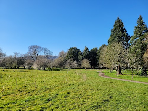 profile picture of Musgrave Park, Belfast