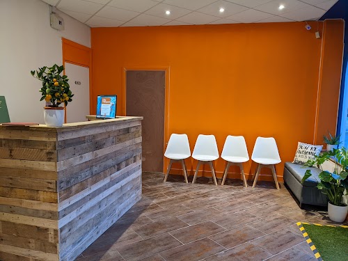 profile picture of Vibe Chiropractic - Brighton