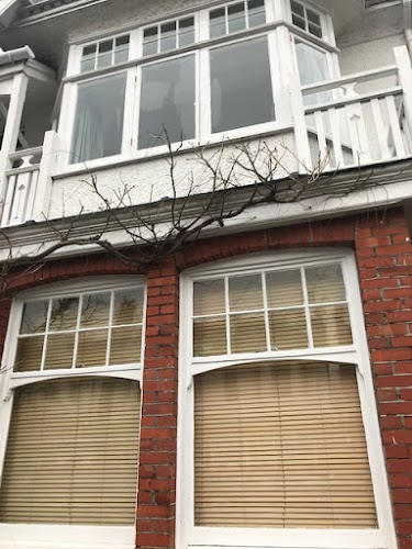 profile picture of Brighton Window and Gutter Cleaning