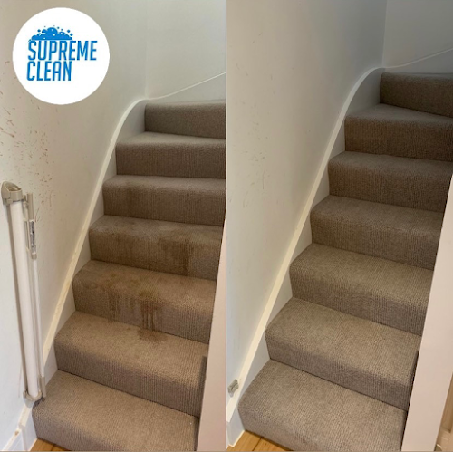 profile picture of Brighton Carpet Cleaning Services profile picture