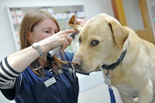 profile picture of Radford Road Veterinary Surgery