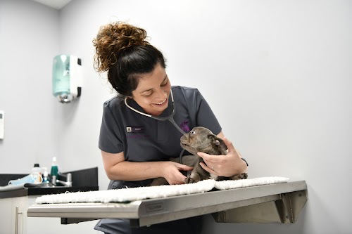 profile picture of Godiva Veterinary Clinic profile picture