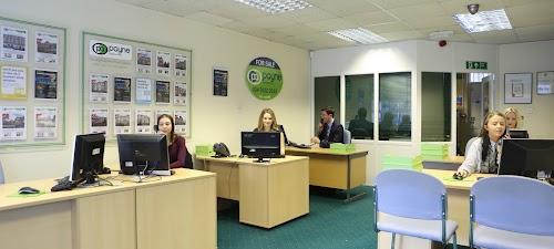 profile picture of John Payne Estate Agents - City Centre