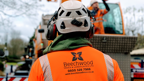 profile picture of Beechwood Trees & Landscapes Ltd profile picture