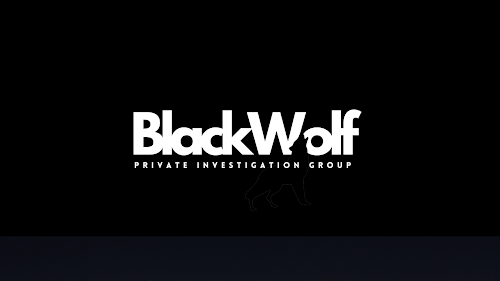 profile picture of BlackWolf Private Investigations