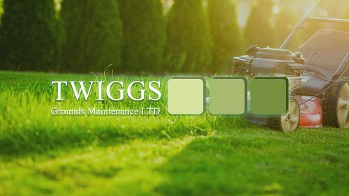 profile picture of Twiggs Grounds Maintenance Ltd profile picture