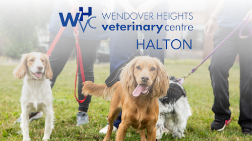 profile picture of Wendover Heights Veterinary Centre - Halton profile picture