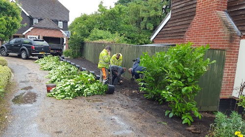 profile picture of Bucks Tree Surgeons profile picture