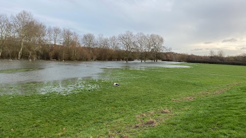 profile picture of Meadowcroft Open Space