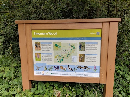 profile picture of Finemere Wood