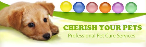 profile picture of Cherish your Pets. Dog Walking and Pet Sitting Service. profile picture