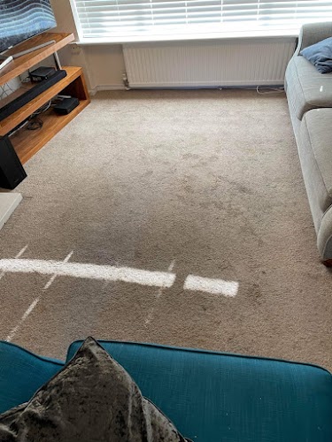 Carpet cleaners in Essex