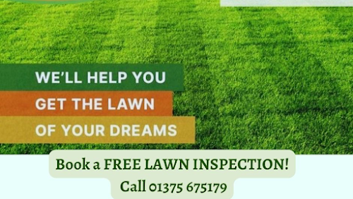 Level Lawns & Landscaping