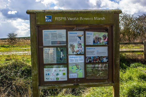 RSPB Bowers Marsh