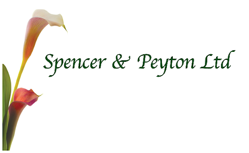 profile picture of Spencer & Peyton Ltd