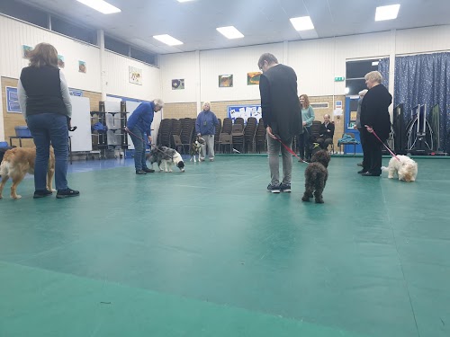 VIP Dog Training