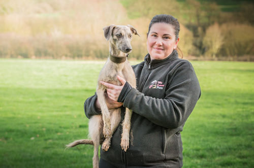 profile picture of We Love Pets Blackburn - Dog Walker, Pet Sitter & Home Boarder profile picture