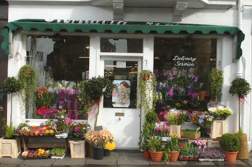 profile picture of Fioritalia florists. Plants & flowers profile picture