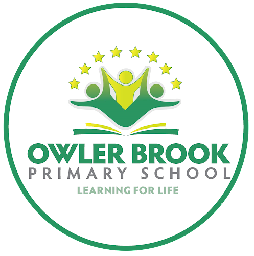 Owler Brook Primary School