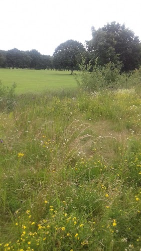 profile picture of Beauchief Golf Club