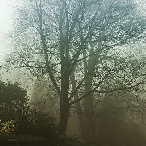 profile picture of Cholera Monument Grounds and Clay Wood