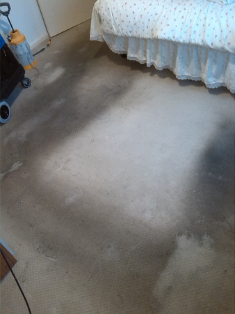 profile picture of ACE Carpet Cleaning Newcastle upon tyne profile picture