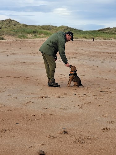 profile picture of The Newcastle Dog Trainer