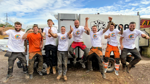 profile picture of Tree Squadron - Cardiff Tree Surgeon