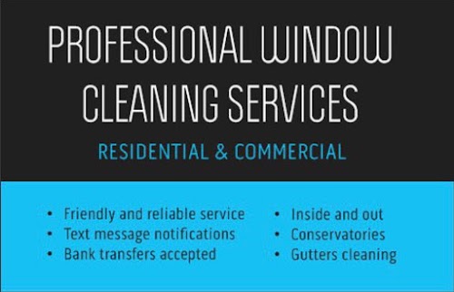 Sev Window Cleaner - Spotless Window Cleaning